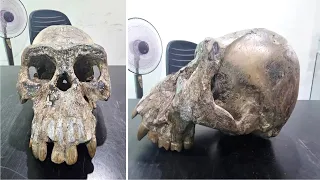 This Explorer In Indonesia Claims They Found A Bigfoot Skull While Digging Inside This Old Cave