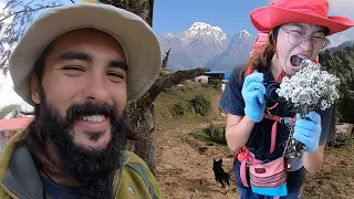 Climbing the Himalayan Mountains in Time of Corona (Mardi Himal) ~323