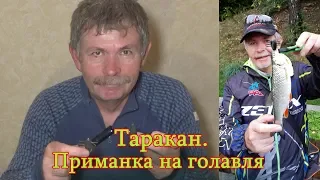 Константин Кузьмин. Таракан на коленке-2.