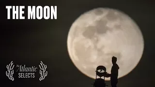 Have You Ever Really Seen the Moon?