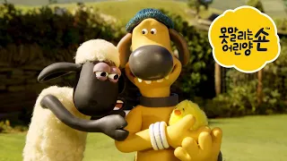 테니스 경기 - 시리즈 4 - 숀 더쉽 [Shaun the Sheep] [포함 시즌 6 의 클립]