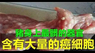 豬身上最髒的「器官」，含有大量的「癌細胞」，別忽視，否則癌症不請自來！