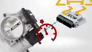 Throttle Actuator Control Systems