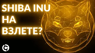 Shiba Inu прогноз на сентябрь 2022 | Shiba Inu на взлете?