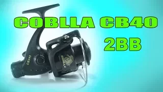 Обзор китайской рыболовной катушки COBLLA CB 240 (аналог COBRA CB 240)