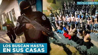 The Downfall of El Salvador's Gang Members: Did They Surrender Everything in 2023?