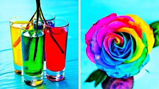 24 TRUQUES COM FLORES E IDEIAS DIYs COM FLORES