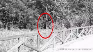 PROOF BIGFOOT (SASQUATCH) EXISTS 2012 - BRITISH COLUMBIA (1080p HD HQ)