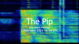 The Pip live voice message 7.February 2021 12:34 UTC