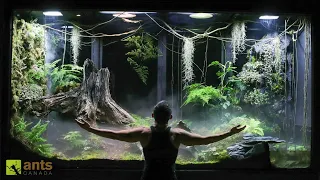 I Built a Giant Cloud Rainforest Vivarium | S1 Ep. 4