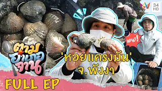 'หอยแครงมัน' จ.พังงา | ตามอำเภอจาน | 19 มี.ค.65 Full EP