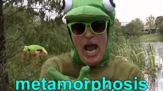 Metamorphosis Song | Frog's Life Cycle | Metamorphosis | Jack Hartmann