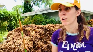 the Hard TRUTH about Amending Soil with Mulch | Florida Fall Vegetable Gardening