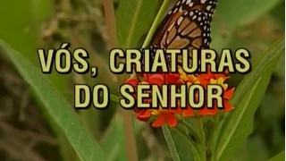 15 - Vós, Criaturas do Senhor - HD