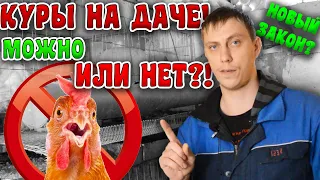 Россиянам ЗАПРЕТИЛИ держать КУР НА ДАЧЕ?! НОВЫЙ ЗАКОН?!