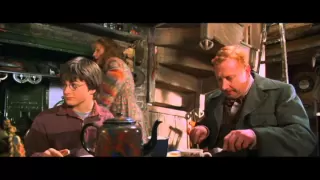 Harry Potter and the Chamber of Secrets - Harry's first time at the Weasley's home (HD)