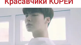 Корея. Корейские актеры. Ли Мин Хо/Пак Хён Шик/Ли Чон Сок/Со Кан Джун/Ким У Бин/Ли Дон Ук/ Ким Бом