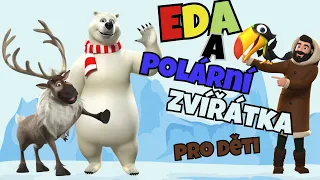 Polární zvířátka pro děti | Divoká zvířata - 2 díl | vzdělávací video pro děti