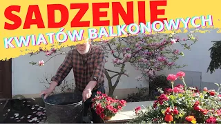 Sadzenie kwiatów balkonowych