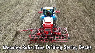 Weaving SabreTine Drilling Lynx Spring Beans