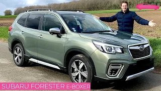 Test Drive ON & OFFROAD Subaru Forester hybrid - 3,7 million sold to date! - Le Vendeur Automobiles