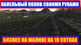 БИЗНЕС НА МАЛИНЕ НА 10 СОТКАХ || КАПЕЛЬНЫЙ ПОЛИВ СВОИМИ РУКАМИ  #малина #выращивание #посадка