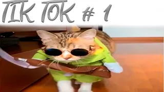 САМЫЕ ЛУЧШИЕ ПРИКОЛЫ ИЗ ТИК ТОК 2020/TIKTOK ПОДБОРКИ  ЛУЧШЕЕ ТИК ТОК