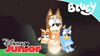 Bluey: Compilado: un día con Bluey y su familia | Disney Junior Oficial