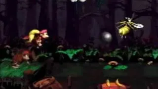 Donkey Kong Country 2 - 102% Walkthrough, Part 26 - Mudhole Marsh