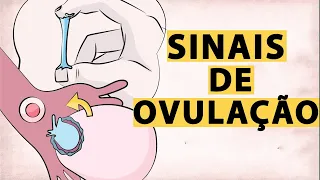 Como Saber se Estou Ovulando (8 Sintomas de Ovulação)