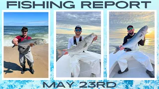 New Jersey Fishing Report May 23rd #fishingreport #surffishing #stripedbass
