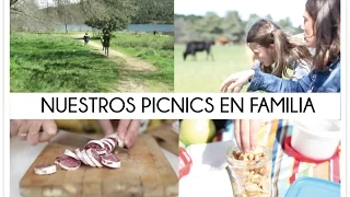 Ideas y consejos para preparar un picnic