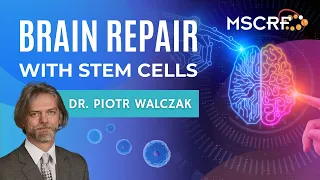 Stem Cell Research for Neurological Diseases | Dr. Piotr Walczak - Maryland Stem Cell Research Fund