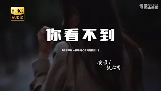 张松雪 - 你看不到♫『你看不到 一颗碎的心反复的煎熬。』『动态歌词 | 高音质 | pinyin Lyrics』