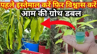 इसके इस्तेमाल से होगी आम की ग्रोथ दोगुनी | आम के पौधे की ग्रोथ को करें डबल  | How To Grow Mango Tree