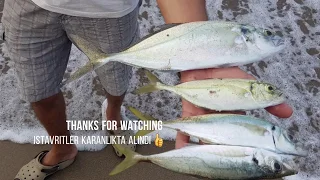 ULTRA LIGHT Fishing from beach part4 Antalya