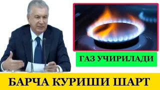 😱⚡️#ТЕЗКОР 🤯ГАЗ УЧИРИЛАДИ БАРЧА КУРИШИ ШАРТ #таркатинг #огохбулинг