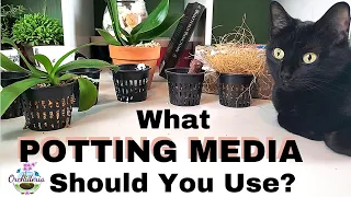 How To Choose The Right Potting Medium for Your Orchid