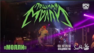 Пошлая Молли - Молли (Live, 03.10.2018, Владивосток)