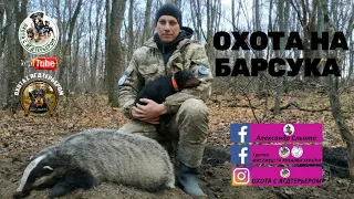 Охота на барсука/Охота с ягдтерьером на барсука