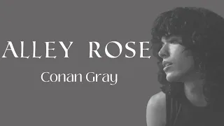 Conan Gray - alley rose (lyrics video)