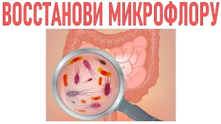 КАК ВОССТАНОВИТЬ МИКРОФЛОРУ КИШЕЧНИКА | Лучшие пробиотики для кишечника