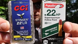 Hypervelocity Hoedown!  Aguila Supermaximum Hollow Point vs CCI Stingers!