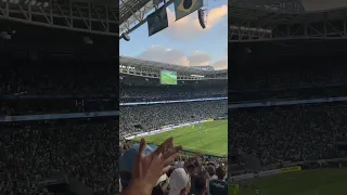 Torcida do Palmeiras catando vamos pra cima porco…