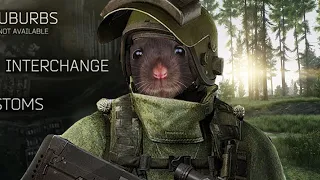 Tarky Rat.EXE - Escape from Tarkov #eft #tarkov