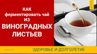 Ферментированный чай из виноградных листьев Как приготовить