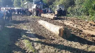 Awesome Tractor Pulling Tree Stump  Massey Ferguson 1114