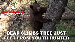 Bear Climbs a Tree Just Feet from a Youth Hunter - Parkland Outdoors