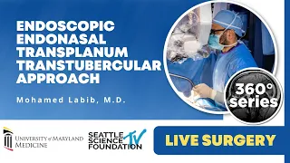 Skull Base 360°: Endoscopic Endonasal Transplanum Transtubercular Approach - Mohamed Labib, M.D.