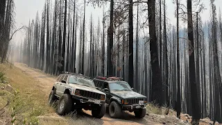 Caldor Wild Fire destroyed 4x4 Trail?  Trail update Strawberry Pass 2022